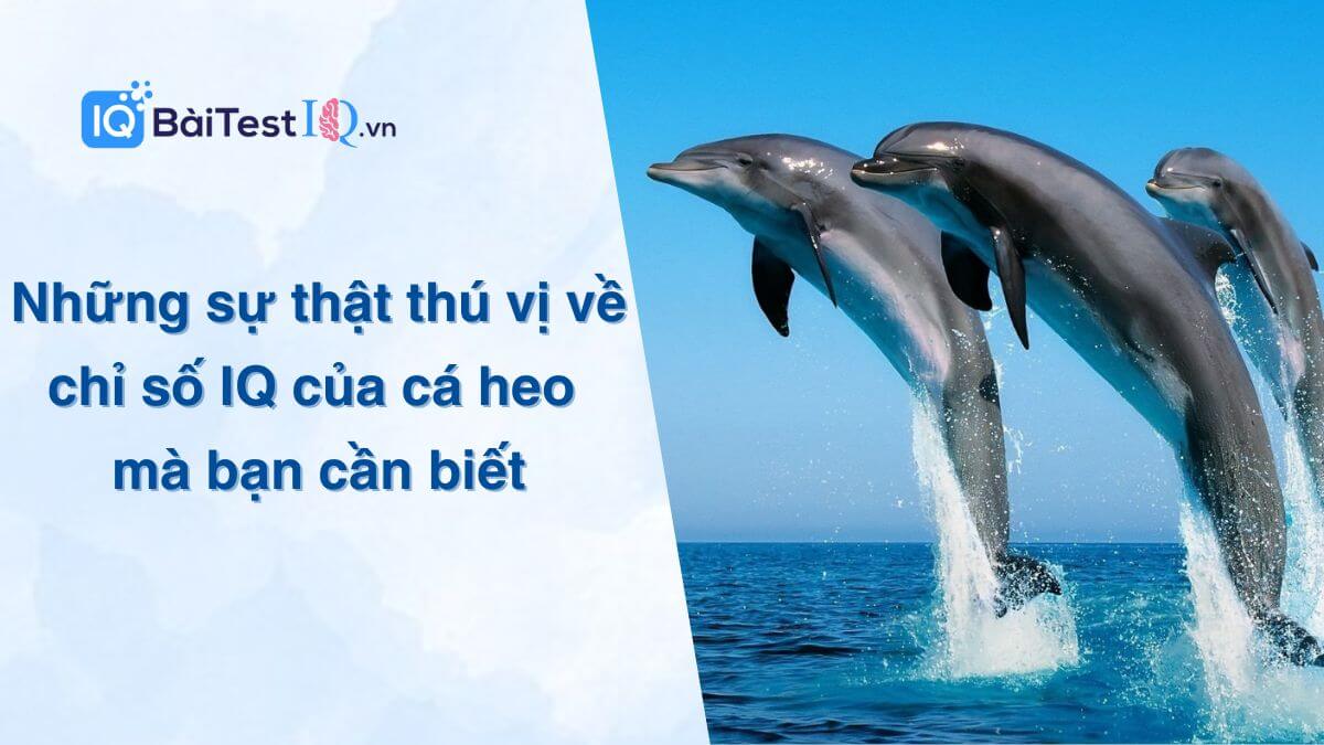 Chỉ số IQ của cá heo