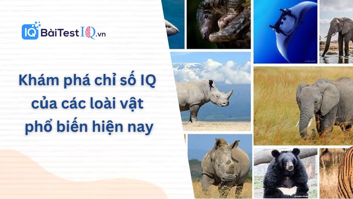 Chỉ số IQ của các loài vật