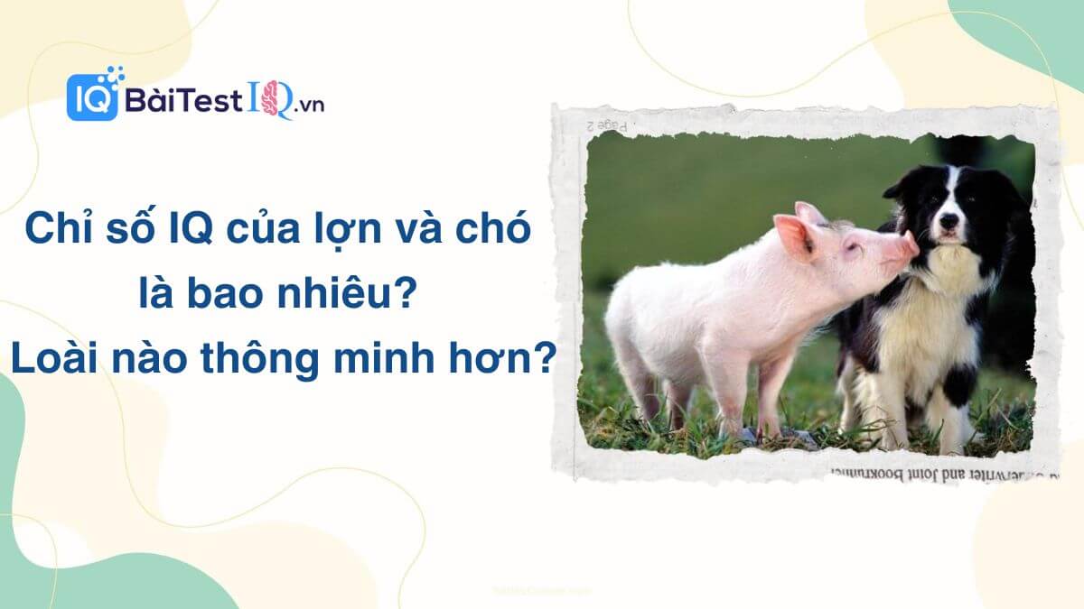 Chỉ số IQ của lợn và chó