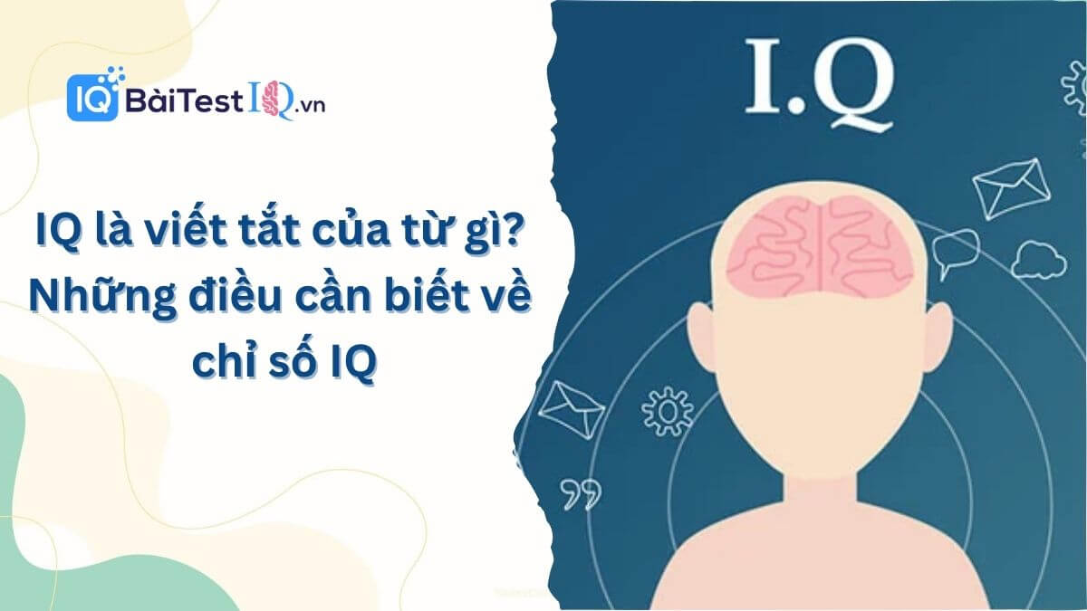 IQ là viết tắt của từ gì