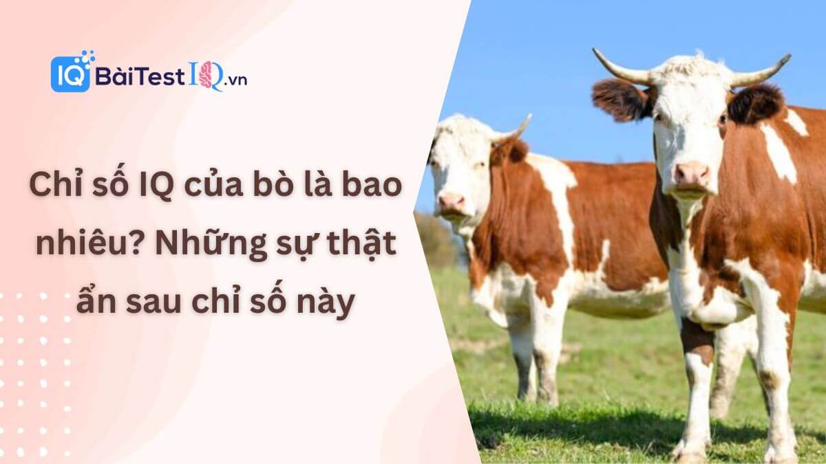 Chỉ số IQ của bò