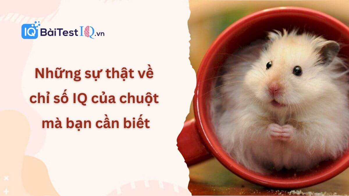 Chỉ số IQ của chuột