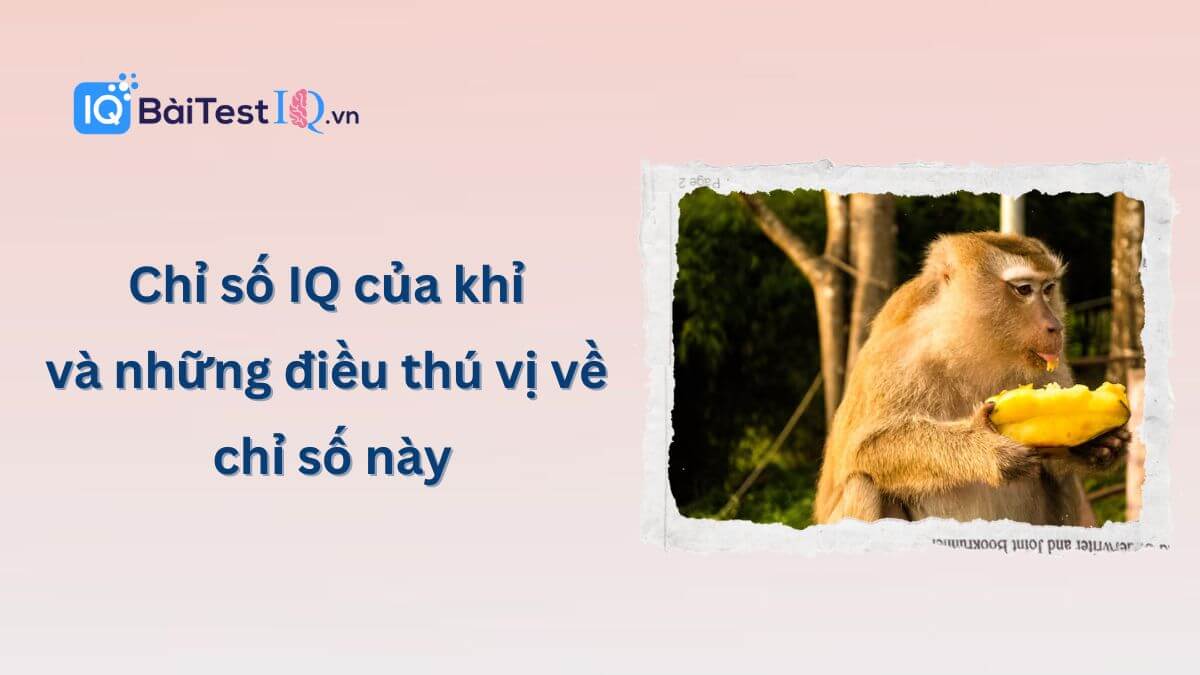 Chỉ số IQ của khỉ