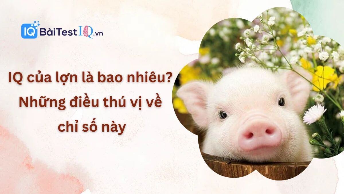 IQ của lợn