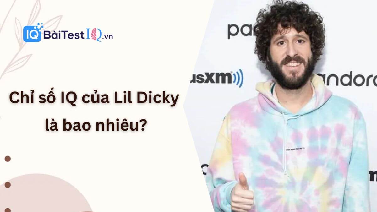 Lil Dicky IQ